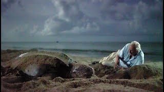 Saving Leatherback Turtles In Trinidad  Blue Planet II [upl. by Ariahaj]