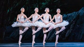 Watch Swan Lake in cinemas on 19 May 2022 [upl. by Ronacin]