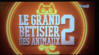 Le Grande Bêtisier des animaux [upl. by Anayaran938]