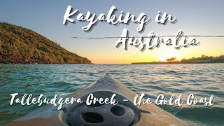 Kayaking  Gold Coast  Tallebudgera Creek  Queensland  Australia [upl. by Jereld]