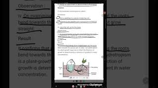 Design an experiment to demonstrate hydrotropism [upl. by Doownel]