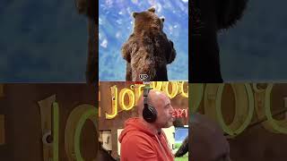 Joe Rogan Reacts to CRAZY Grizzly Bear [upl. by Bernadina]