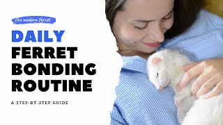 How to Bond with Your Ferret  DAILY Ferret Bonding Routine [upl. by Hahnke50]