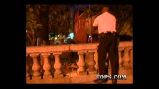 Tased and Confused Officer Michael Winslow COPS TV SHOW [upl. by Nylek819]