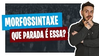 O QUE É MORFOSSINTAXE Pablo Jamilk [upl. by Adnohsak944]