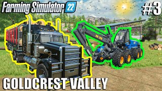 Cutting TREES for BIG PROFIT  Goldcrest Valley  Episode 3  Farming Simulator 22 [upl. by Esir]