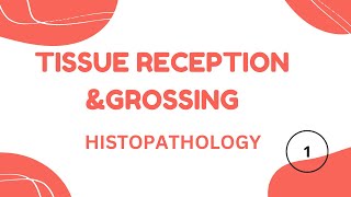 Histopathology part 2  Tissue Receiption  Grossing [upl. by Adar]