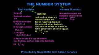 Grade 9 Maths The Number System [upl. by Varick]