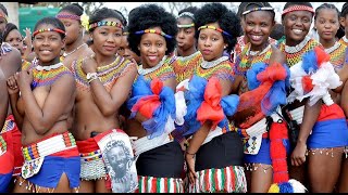 Zulu reed Dance  Beautiful reeddance [upl. by Eedrahc]