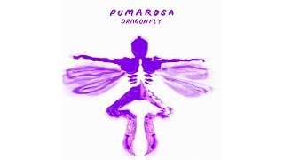 Pumarosa  Dragonfly Official Audio [upl. by Ainnek122]