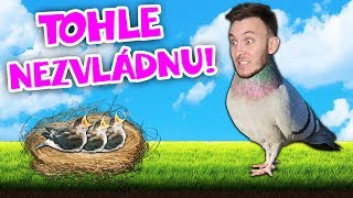 SIMULÁTOR HOLUBA  Pigeon Simulator [upl. by Ahsimit]