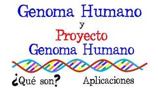 💉El Genoma Humano y Proyecto Genoma Humano  Ejemplos y Aplicaciones👨 Fácil y Rápido  BIOLOGÍA [upl. by Gnort]