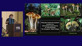 Paul Stamets Psilocybin Mushrooms amp The Mycology of Consciousness [upl. by Hindorff316]