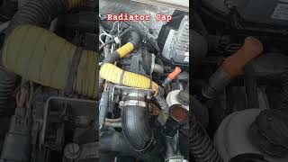 Check out the Radiator Cap And Cooling system maheshji4640 bolero driver driving shorts [upl. by Tuckie]