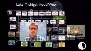 LS2A  Interdependent Relationships in Ecosystems [upl. by Eellek]