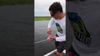 TOY ROD CATCHES MONSTER FISH [upl. by Unders]