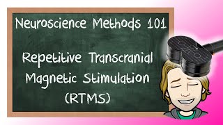 Repetitive Trancranial Magnetic Stimulation rTMS Physiology by Magstim [upl. by Aihsoem]