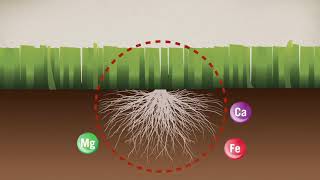 Soil Conditioning Presented by Floratine [upl. by Ursuline]