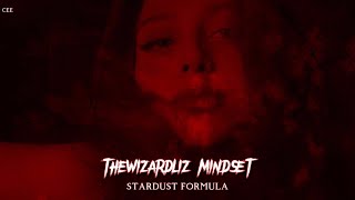 thewizardliz mindset [upl. by Bathsheb]