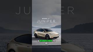 LEAKED 2025 Tesla Model Y Features [upl. by Ttihw]