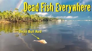 Catching fish in Destin’s Red Tide  Choctawhatchee Bay Redfish and Trout [upl. by Miguela]