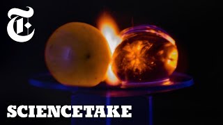 Why Microwaved Grapes Explode  ScienceTake [upl. by Anirtac884]