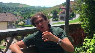 What is the Dolcetto grape amp Dolcetto wine all about Guide to Dolcetto [upl. by Elades]