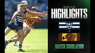 Geelong Cats v Hawthorn Highlights  Match Simulation 2025  AFL [upl. by Aihsital]