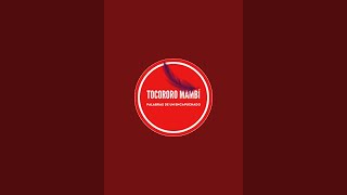 Tocororo Mambi [upl. by Aliehc]