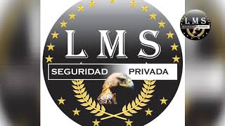 ¿Que es la seguridad privada [upl. by Randene]