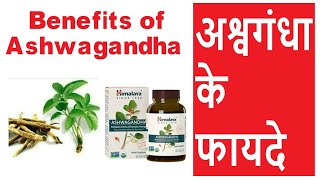 Benefits of Ashwagandha for Men  पुरुषों के लिए अश्वगंधा के फायदे  Sanjay Meena [upl. by Hurd]