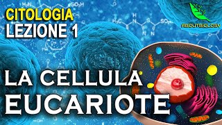 La CELLULA EUCARIOTE Citologia Lezione 1 [upl. by Wini]