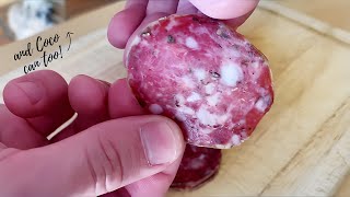 BASIC SALAMI RECIPE Dry Cured in Wine Fridge  Matt The Butcher [upl. by Anaic]