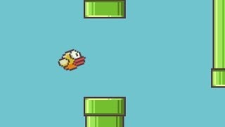 Flappy Bird  Review [upl. by Mcmurry]