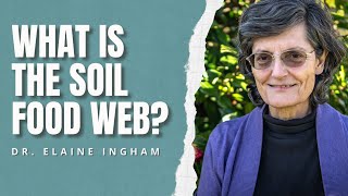 What is the Soil Food Web  Dr Elaine Ingham  Soil Biology [upl. by Bevon]