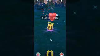 I Got Wild Shiny Sunkern pokemongo pokemon trendingshorts shorts shiny subscribe trending [upl. by Dimitri]