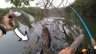 River Crappie Fishing with Minnows and JIGS Can I Find The Crappie Are they in the Brushpiles [upl. by Afas]