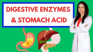 The Power of Digestive Enzymes amp Stomach Acid Fix Bloating Gas and Reflux [upl. by Kovar254]