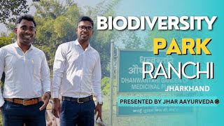 Multivitamin औऱ हड़जोड़ पौधे का Use जाने  Explore Bio Diversity Park [upl. by Juakn394]