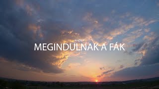 Friderika  Ahogy megindulnak a fák Official Lyrics Video [upl. by Kelvin]