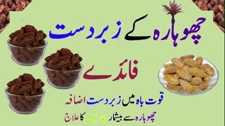 Choharay k Faiday in urdu [upl. by Relyt]