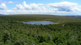 Parc de la Gaspésie  Québec  Mont JacquesCartier et Mont Albert [upl. by Melamie]