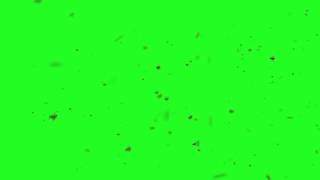 Bee Swarm on green screen 1280x720MP4 [upl. by Smalley]