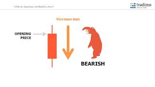 Tradimo  Technical Analysis  1 How to Read Japanese Candlestick Charts [upl. by Nemlaz]