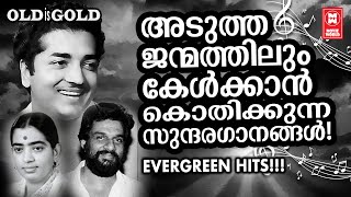 ഒരു മനുഷ്യായുസ്സ് മുഴുവൻ കേട്ടാലും മനസ്സിന് മടുപ്പില്ലാത്ത മനോഹര ഗാനങ്ങൾ  OLD IS GOLD [upl. by Ailahk394]