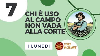 Chi è Uso al Campo non vada alla Corte 7 [upl. by Safire]