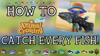 How To Catch Every Fish in Animal Crossing New Horizons  New Horizons Fishing Guide [upl. by Ahseit]