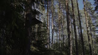 Treehotel  The Cabin [upl. by Tonina]