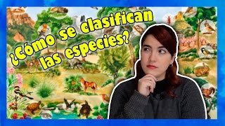 ¿Cómo se clasifican las especies [upl. by Grefer147]