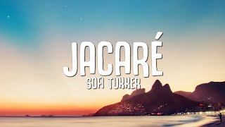 SOFI TUKKER  Jacaré Lyrics [upl. by Lilllie]